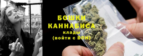 ГАЛЛЮЦИНОГЕННЫЕ ГРИБЫ Рославль