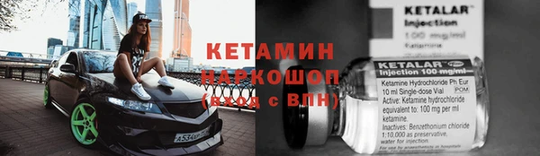 прущие грибы Аркадак