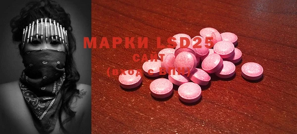прущие грибы Аркадак