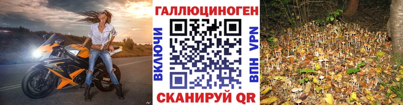 Псилоцибиновые грибы прущие грибы  Советская Гавань 